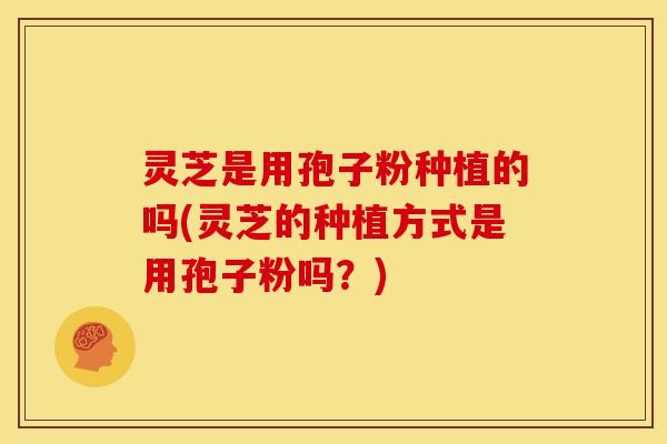 灵芝是用孢子粉种植的吗(灵芝的种植方式是用孢子粉吗?)