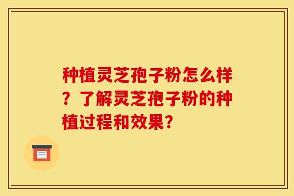 种植灵芝孢子粉怎么样？了解灵芝孢子粉的种植过程和效果？