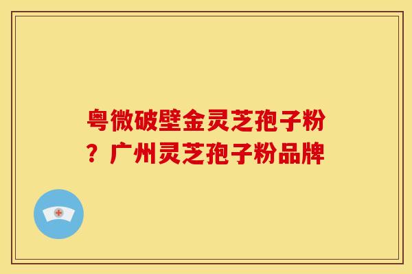 粤微破壁金灵芝孢子粉?广州灵芝孢子粉品牌