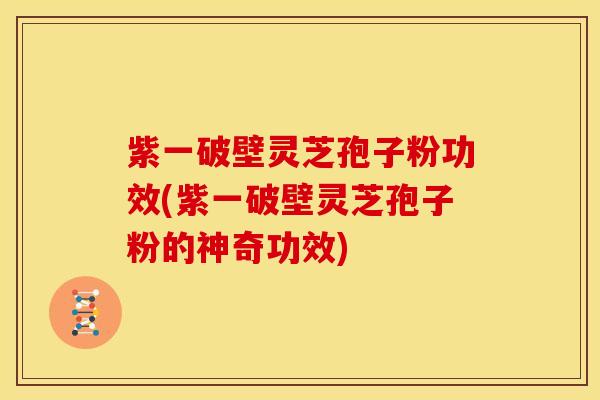 紫一破壁灵芝孢子粉功效(紫一破壁灵芝孢子粉的神奇功效)