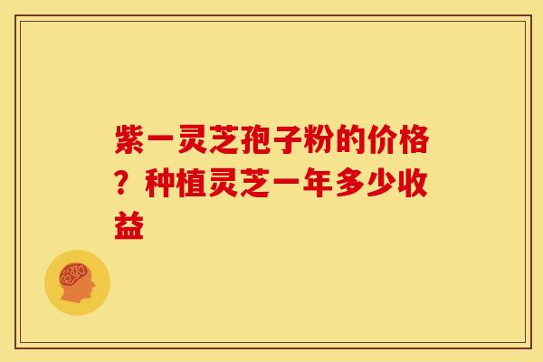 紫一灵芝孢子粉的价格?种植灵芝一年多少收益