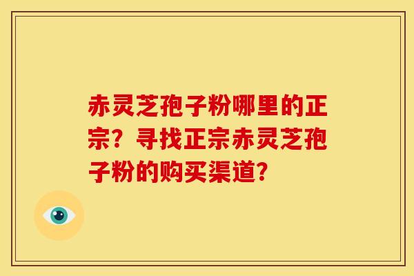 赤灵芝孢子粉哪里的正宗？寻找正宗赤灵芝孢子粉的购买渠道？