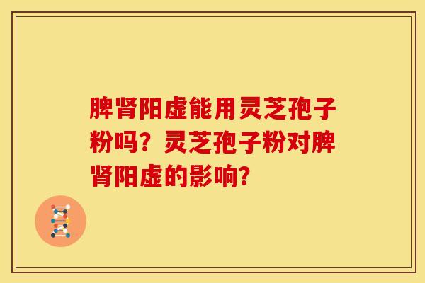 脾肾阳虚能用灵芝孢子粉吗?灵芝孢子粉对脾肾阳虚的影响?