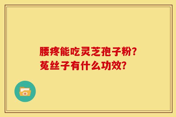 腰疼能吃灵芝孢子粉?菟丝子有什么功效?