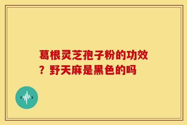 葛根灵芝孢子粉的功效?野天麻是黑色的吗