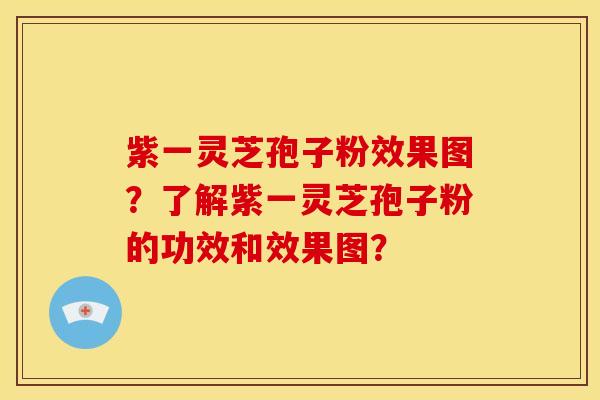 紫一灵芝孢子粉效果图?了解紫一灵芝孢子粉的功效和效果图?