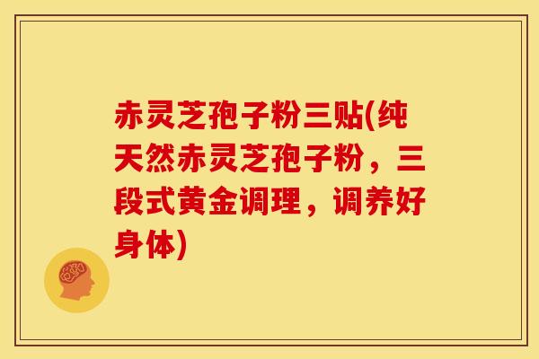 赤灵芝孢子粉三贴(纯天然赤灵芝孢子粉,三段式黄金调理,调养好身体)
