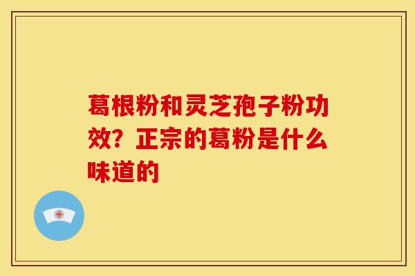 葛根粉和灵芝孢子粉功效？正宗的葛粉是什么味道的