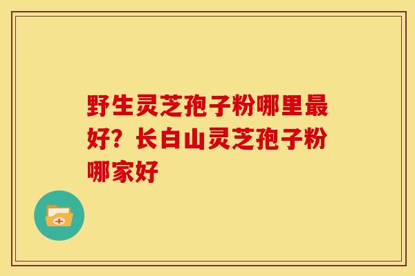 野生灵芝孢子粉哪里最好?长白山灵芝孢子粉哪家好