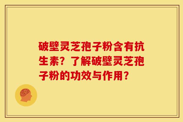 破壁灵芝孢子粉含有抗生素?了解破壁灵芝孢子粉的功效与作用?