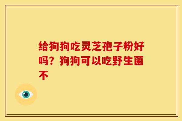 给狗狗吃灵芝孢子粉好吗?狗狗可以吃野生菌不