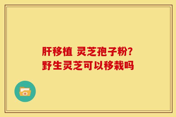 肝移植 灵芝孢子粉？野生灵芝可以移栽吗