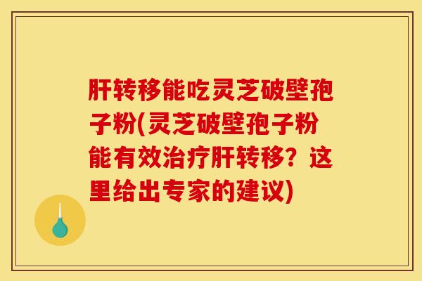 肝转移能吃灵芝破壁孢子粉(灵芝破壁孢子粉能有效治疗肝转移?这里给出专家的建议)