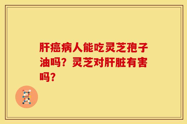 肝癌病人能吃灵芝孢子油吗?灵芝对肝脏有害吗?
