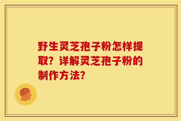 野生灵芝孢子粉怎样提取?详解灵芝孢子粉的制作方法?