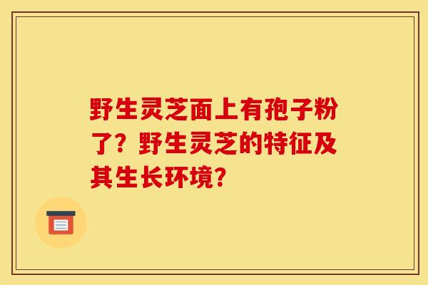 野生灵芝面上有孢子粉了?野生灵芝的特征及其生长环境?
