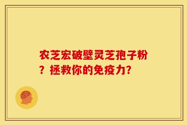 农芝宏破壁灵芝孢子粉？拯救你的免疫力？