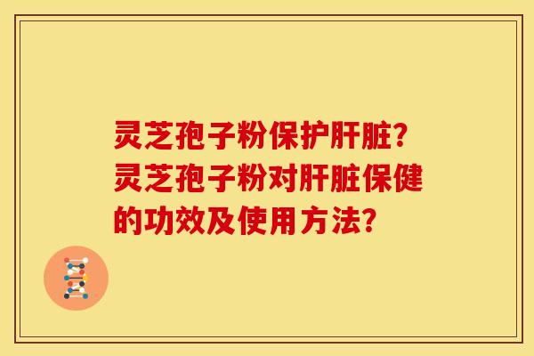 灵芝孢子粉保护肝脏？灵芝孢子粉对肝脏保健的功效及使用方法？