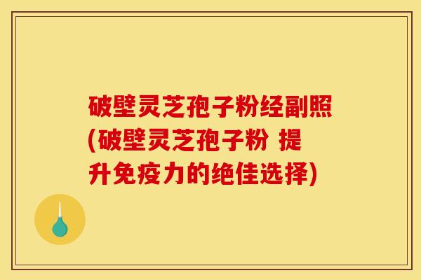 破壁灵芝孢子粉经副照(破壁灵芝孢子粉 提升免疫力的绝佳选择)