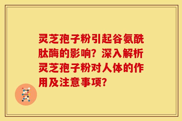 灵芝孢子粉引起谷氨酰肽酶的影响？深入解析灵芝孢子粉对人体的作用及注意事项？