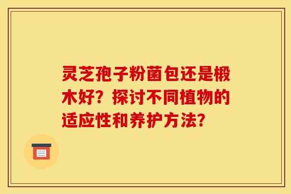 灵芝孢子粉菌包还是椴木好?探讨不同植物的适应性和养护方法?