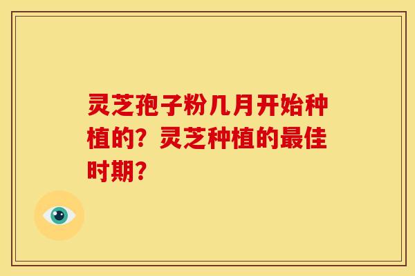 灵芝孢子粉几月开始种植的?灵芝种植的最佳时期?