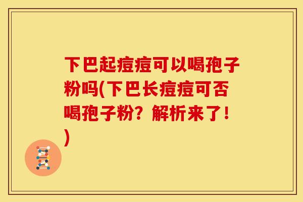 下巴起痘痘可以喝孢子粉吗(下巴长痘痘可否喝孢子粉?解析来了!)