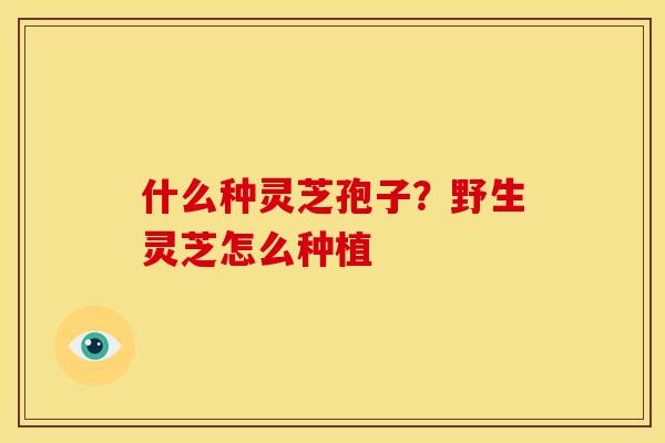 什么种灵芝孢子?野生灵芝怎么种植