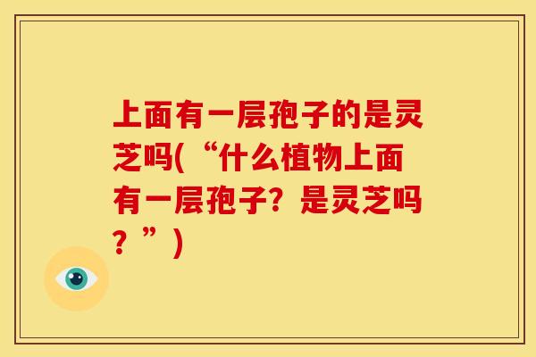 上面有一层孢子的是灵芝吗(“什么植物上面有一层孢子?是灵芝吗?”)