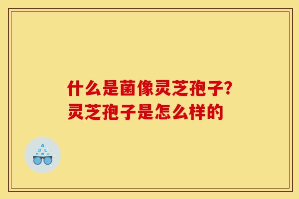 什么是菌像灵芝孢子?灵芝孢子是怎么样的