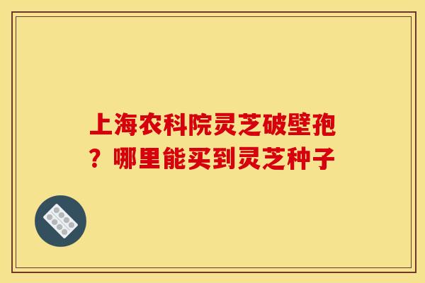 上海农科院灵芝破壁孢？哪里能买到灵芝种子