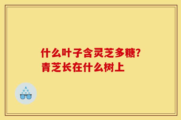 什么叶子含灵芝多糖？青芝长在什么树上