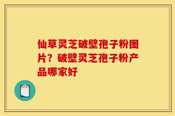 仙草灵芝破壁孢子粉图片?破壁灵芝孢子粉产品哪家好