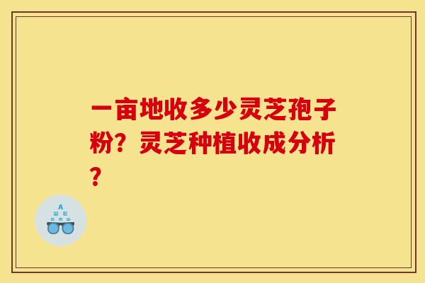 一亩地收多少灵芝孢子粉?灵芝种植收成分析?