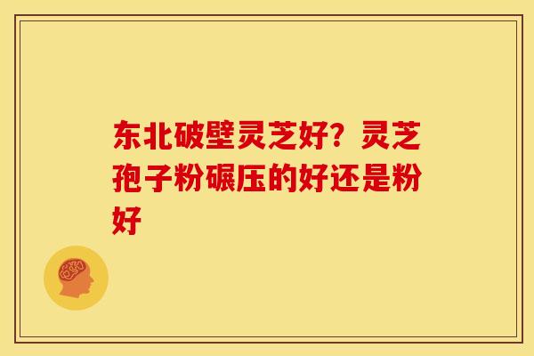 东北破壁灵芝好?灵芝孢子粉碾压的好还是粉好