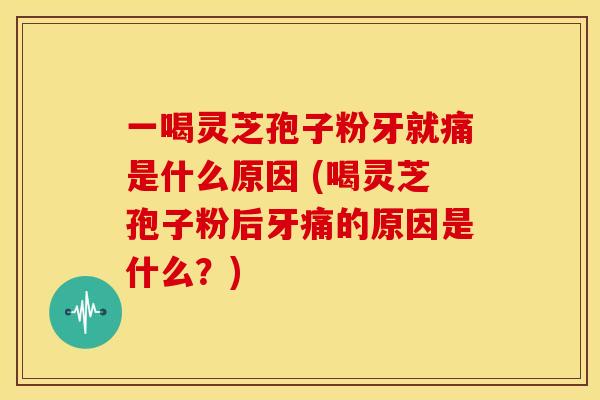 一喝灵芝孢子粉牙就痛是什么原因 (喝灵芝孢子粉后牙痛的原因是什么?)