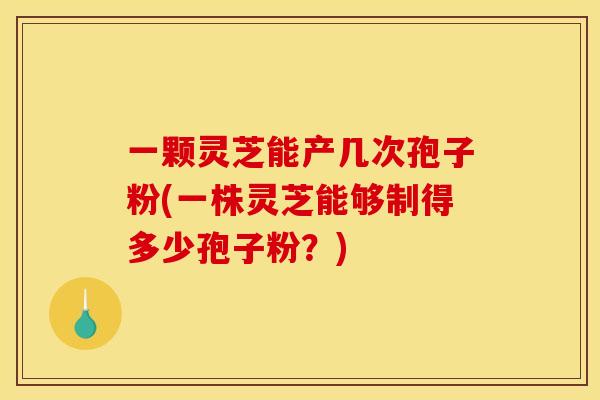 一颗灵芝能产几次孢子粉(一株灵芝能够制得多少孢子粉?)