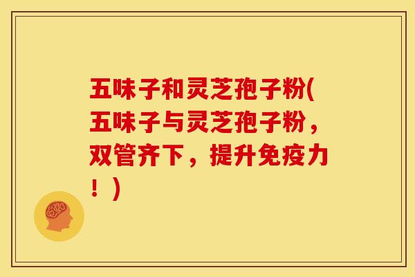 五味子和灵芝孢子粉(五味子与灵芝孢子粉,双管齐下,提升免疫力!)