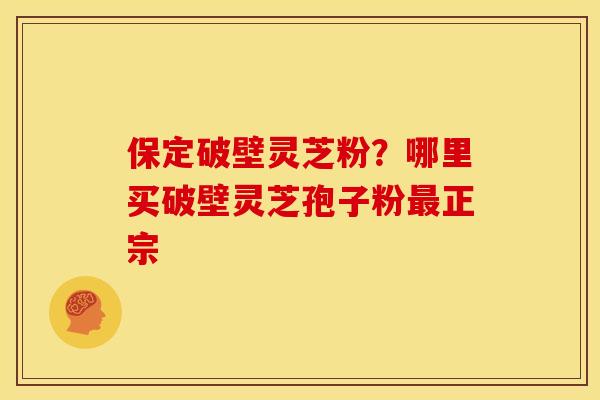 保定破壁灵芝粉?哪里买破壁灵芝孢子粉最正宗
