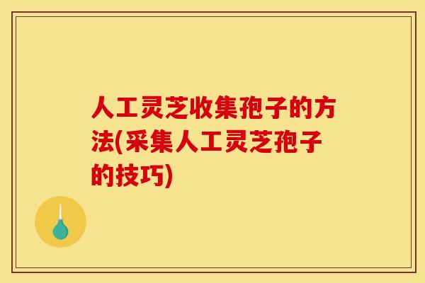 人工灵芝收集孢子的方法(采集人工灵芝孢子的技巧)