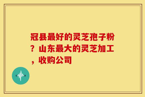 冠县最好的灵芝孢子粉?山东最大的灵芝加工,收购公司