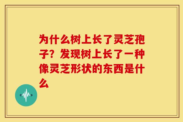 为什么树上长了灵芝孢子?发现树上长了一种像灵芝形状的东西是什么