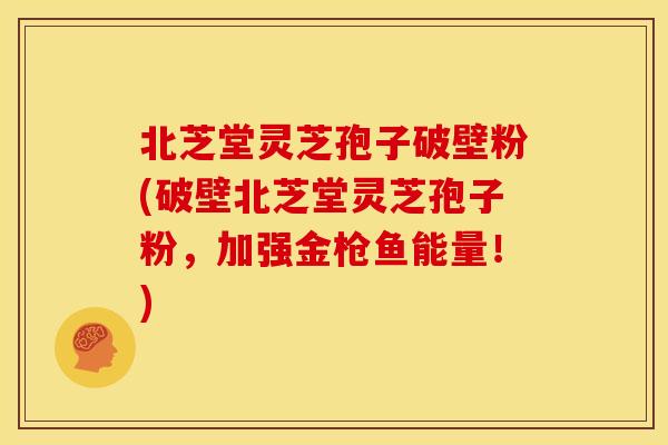 北芝堂灵芝孢子破壁粉(破壁北芝堂灵芝孢子粉,加强金枪鱼能量!)
