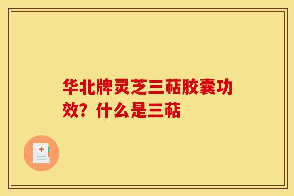 华北牌灵芝三萜胶囊功效?什么是三萜