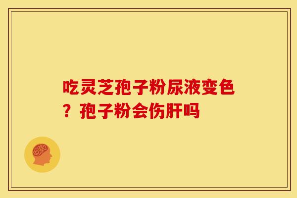 吃灵芝孢子粉尿液变色?孢子粉会伤肝吗