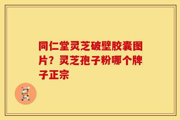 同仁堂灵芝破壁胶囊图片?灵芝孢子粉哪个牌子正宗