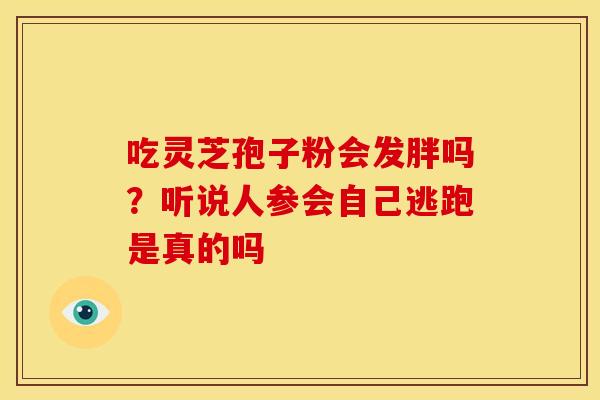 吃灵芝孢子粉会发胖吗？听说人参会自己逃跑是真的吗