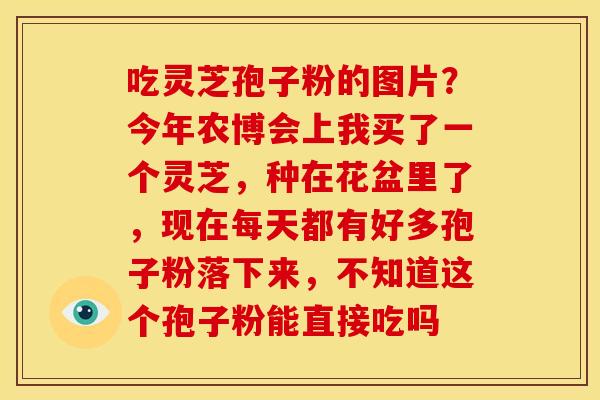 吃灵芝孢子粉的图片?今年农博会上我买了一个灵芝,种在花盆里了,现在每天都有好多孢子粉落下来,不知道这个孢子粉能直接吃吗