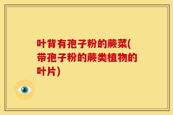 叶背有孢子粉的蕨菜(带孢子粉的蕨类植物的叶片)