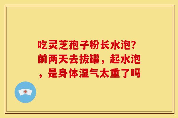 吃灵芝孢子粉长水泡?前两天去拔罐,起水泡,是身体湿气太重了吗